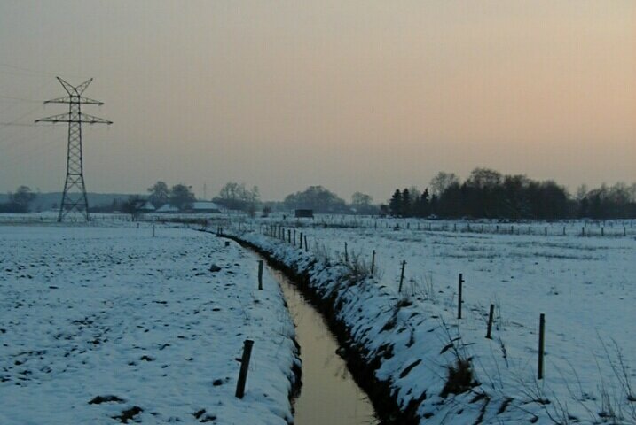 Feb. 1999