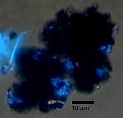 IODP-Fahrt 301