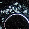 Ciliates grazing on a bacterial band around an air bubble