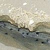 Black spots in a sandy tidal flat